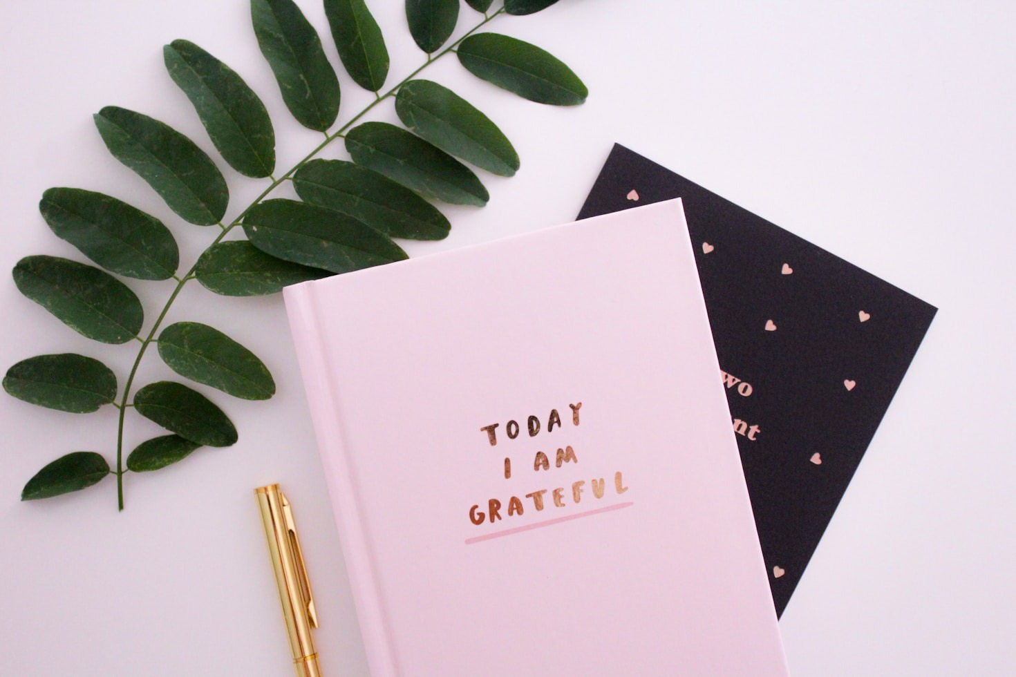 An Unexpected Journey Through Kindness